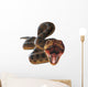 Anaconda Snake Wall Decal