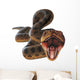 Anaconda Snake Wall Decal