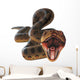 Anaconda Snake Wall Decal