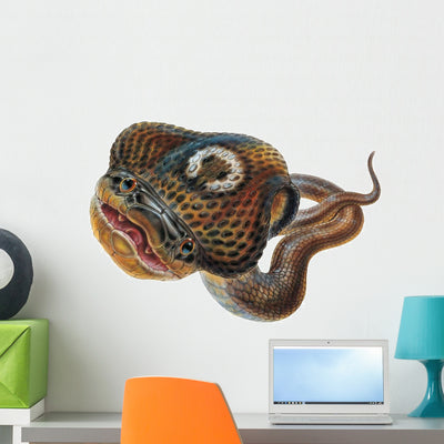 Asian Cobra Snake Wall Decal shown on a wall