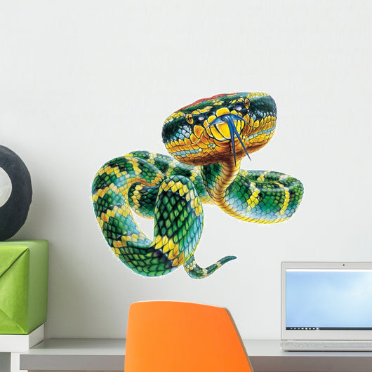Asian Pit Viper Snake Wall Decal