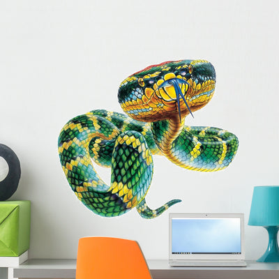 Asian Pit Viper Snake Wall Decal shown on a wall