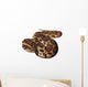 Asian Python Snake Wall Decal