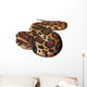 Asian Python Snake Wall Decal
