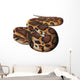 Asian Python Snake Wall Decal