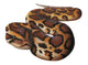 Asian Python Snake Wall Decal