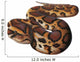 Asian Python Snake Wall Decal