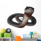 Black Mamba Snake Wall Decal
