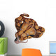 Boa Constrictor Snake Wall Decal