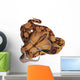 Boa Constrictor Snake Wall Decal