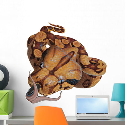 Boa Constrictor Snake Wall Decal shown on a wall