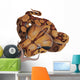 Boa Constrictor Snake Wall Decal