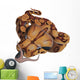 Boa Constrictor Snake Wall Decal