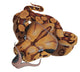 Boa Constrictor Snake Wall Decal