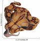 Boa Constrictor Snake Wall Decal