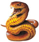 Brown Snake Wall Decal