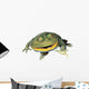 Frog Decals - Budgett's Frog Wall Decal