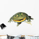 Frog Decals - Budgett's Frog Wall Decal