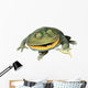 Frog Decals - Budgett's Frog Wall Decal