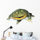 Frog Decals - Budgett's Frog Wall Decal