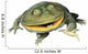 Frog Decals - Budgett's Frog Wall Decal
