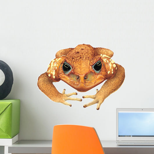 Animal Decals - Cane Toad Wall Decal