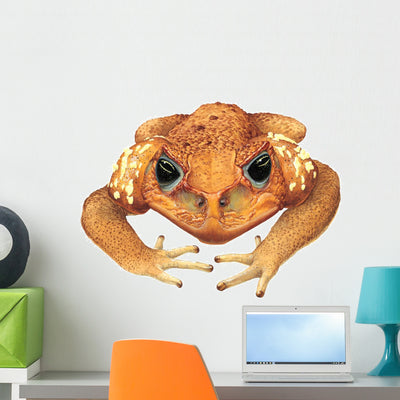 Cane Toad Wall Decal shown on a wall