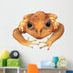 Animal Decals - Cane Toad Wall Decal
