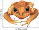 Animal Decals - Cane Toad Wall Decal