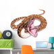 Carpet Python Snake Wall Decal