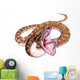 Carpet Python Snake Wall Decal