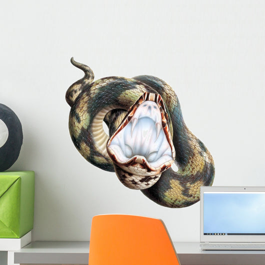 Cottonmouth Snake Wall Decal