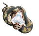 Cottonmouth Snake Wall Decal