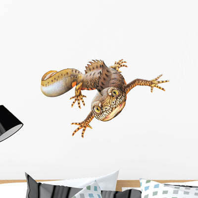 Crested Newt Wall Decal shown on a wall