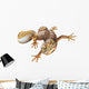 Crested Newt Wall Decal
