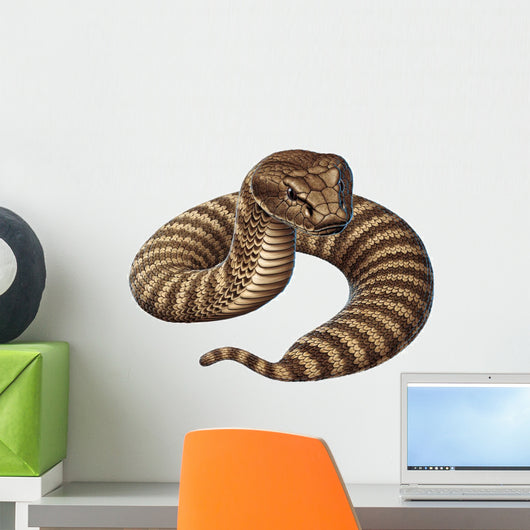 Deathadder Snake Wall Decal