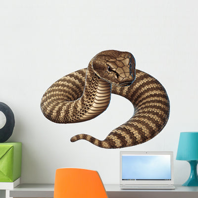 Deathadder Snake Wall Decal shown on a wall