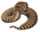 Deathadder Snake Wall Decal