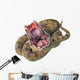 Desert Horned Viper Snake Wall Decal