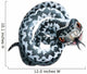 European Adder Snake Wall Decal