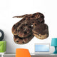 Pit Viper Snake Wall Decal