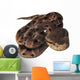 Pit Viper Snake Wall Decal
