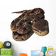 Pit Viper Snake Wall Decal