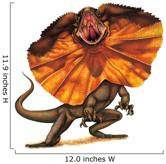 Australian Frilled Lizard Drawings