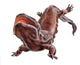 Giant Salamander Wall Decal