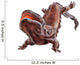 Giant Salamander Wall Decal
