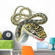Golden Tree Snake Wall Decal
