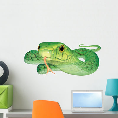 Green Mamba Snake Wall Decal shown on a wall