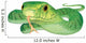 Green Mamba Snake Wall Decal