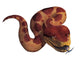 Jumping Viper Snake Wall Decal